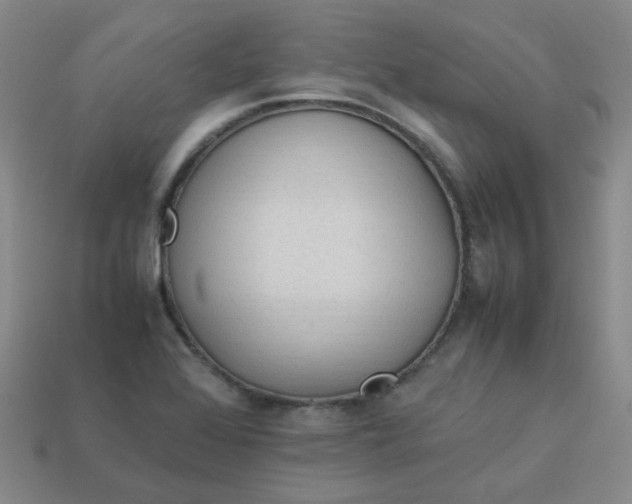 X0000113331368200910051137