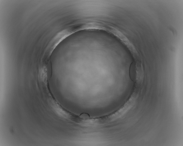 X0000113331369200910051137