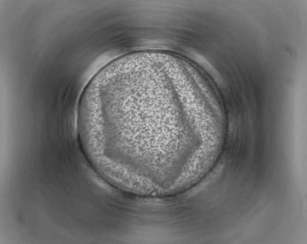 X0000113331370200910051137