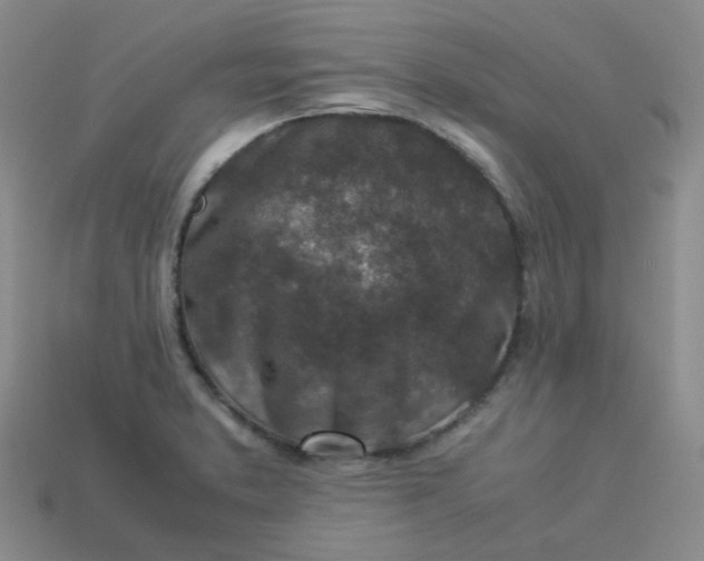 X0000113331373200910051137