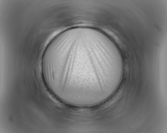 X0000113331375200910051137