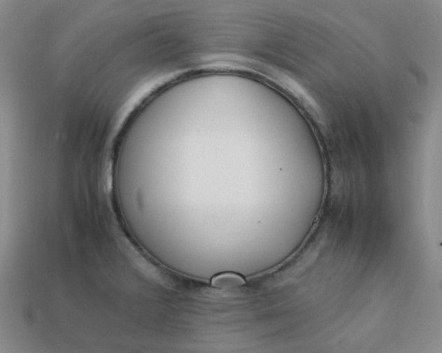 X0000113331376200910051137