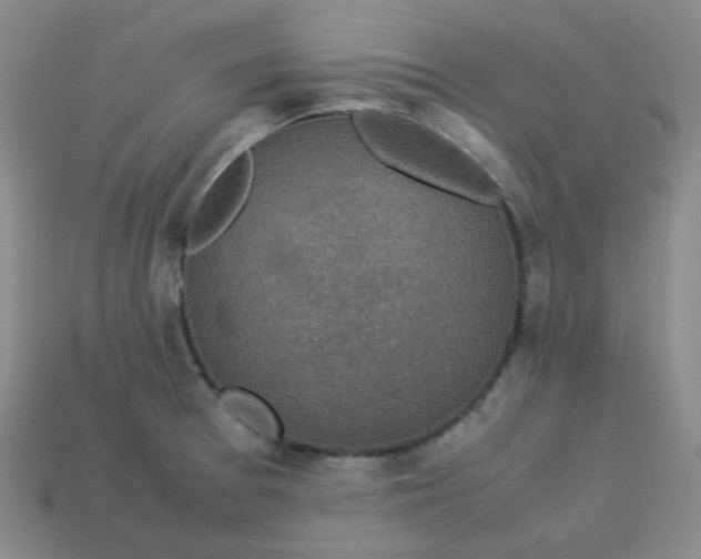 X0000113331377200910051137