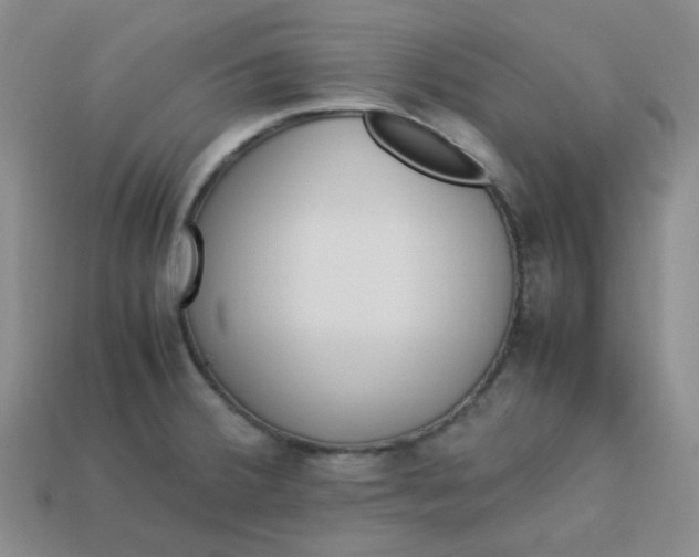 X0000113331380200910051137