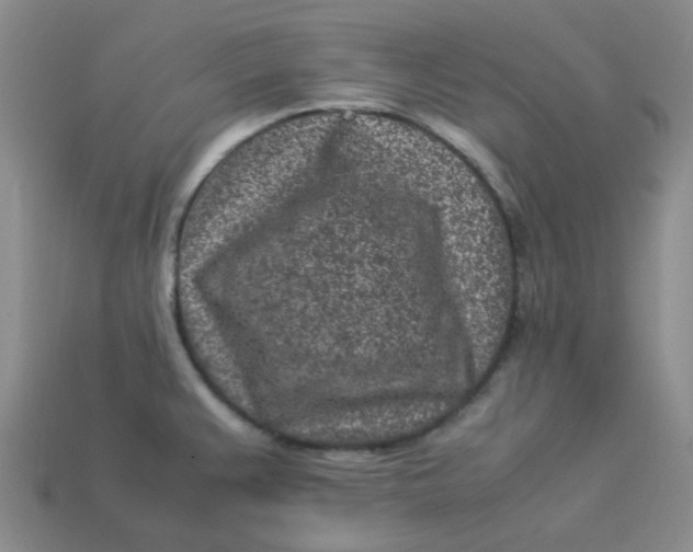 X0000113331383200910051137