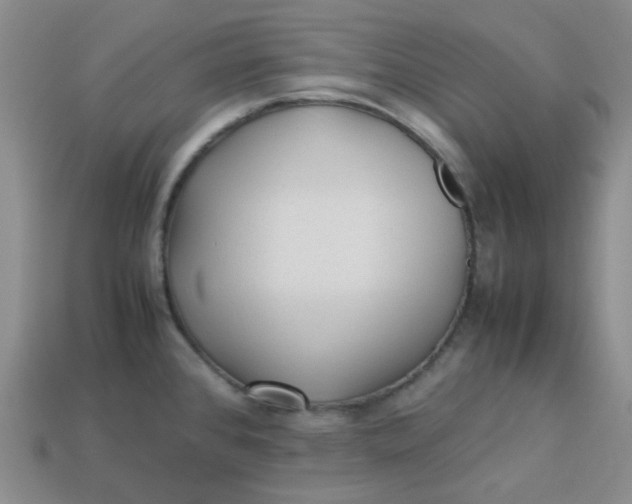 X0000113331384200910051137