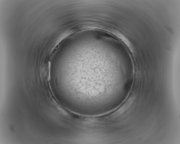 X0000113331385200910051137