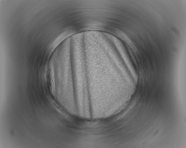 X0000113331386200910051137