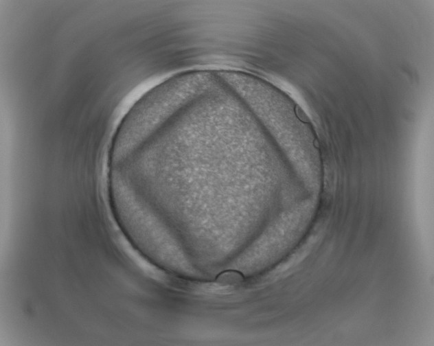 X0000113331387200910051137