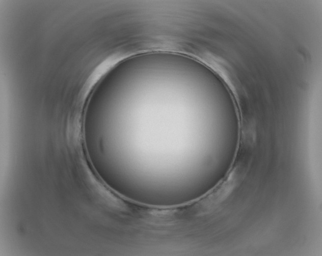 X0000113331389200910051137