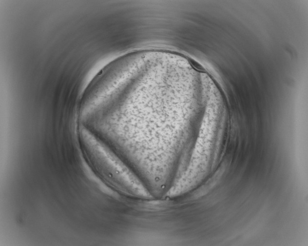 X0000113331390200910051137