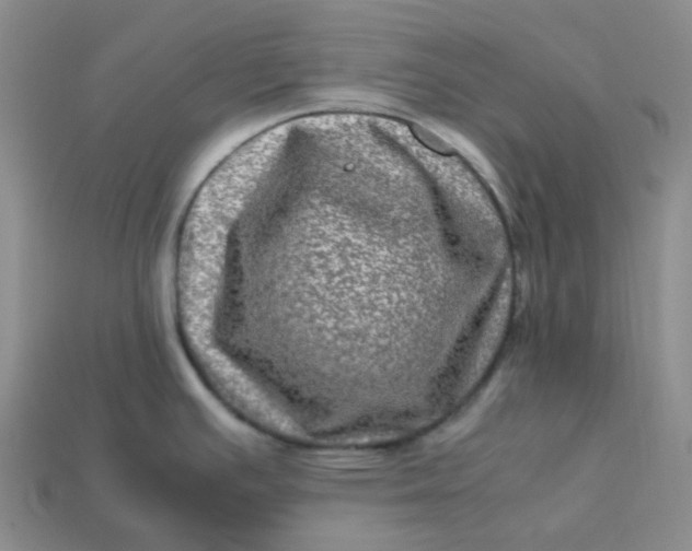 X0000113331391200910051137