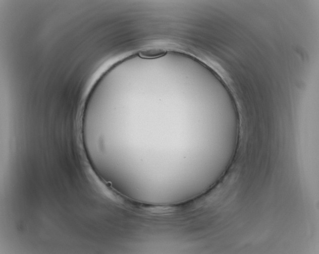 X0000113331392200910051137