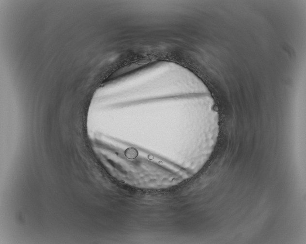 X0000113331393200910051136
