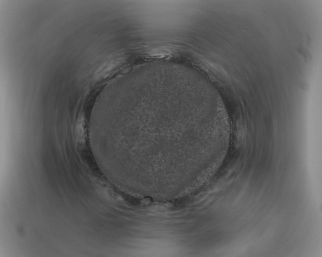 X0000113331394200910051136