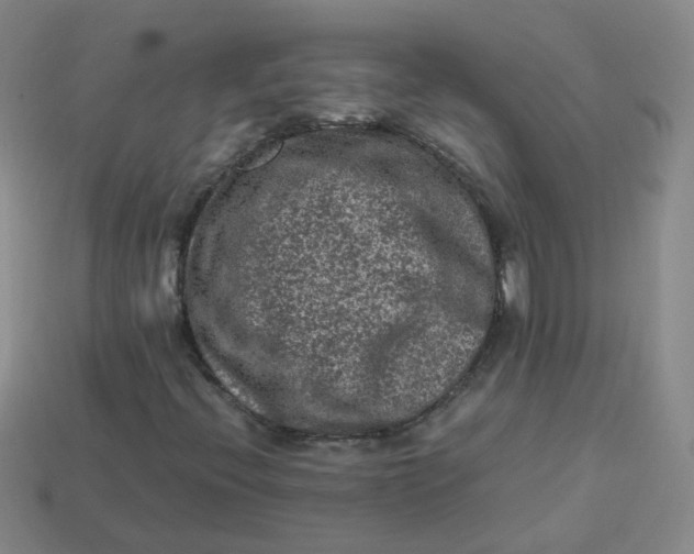 X0000113331396200910051136