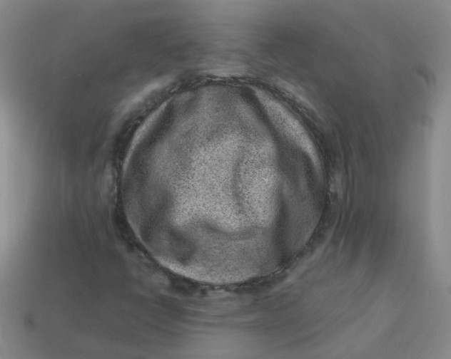 X0000113331398200910051136