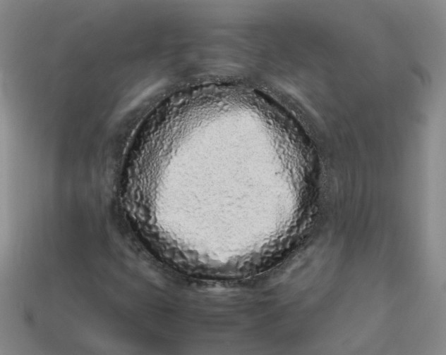 X0000113331399200910051136