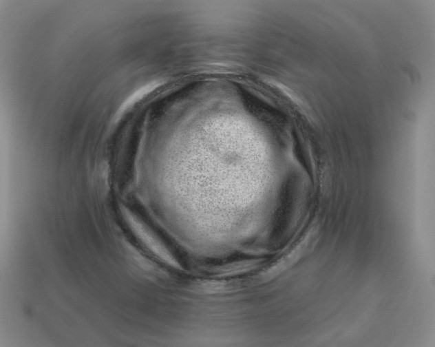X0000113331402200910051136