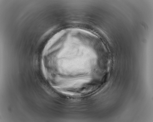 X0000113331403200910051136