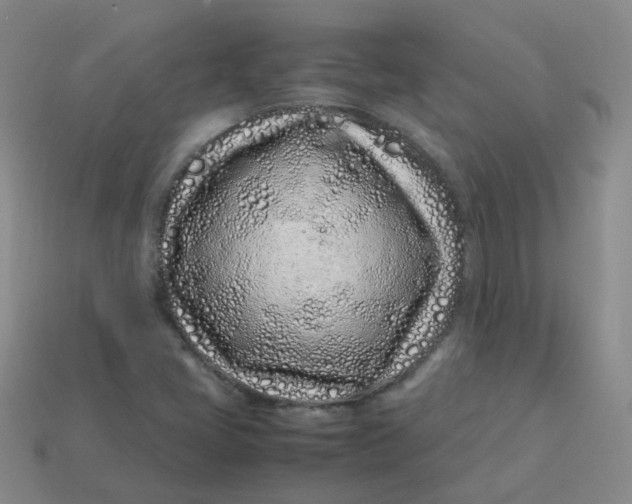 X0000113331405200910051136