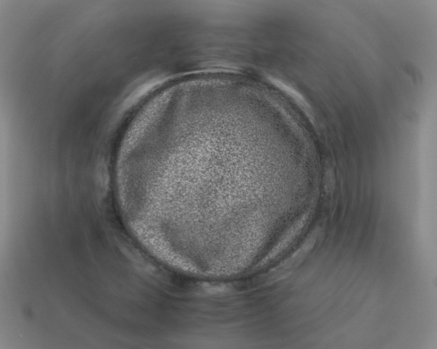 X0000113331407200910051136