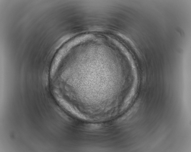 X0000113331409200910051136