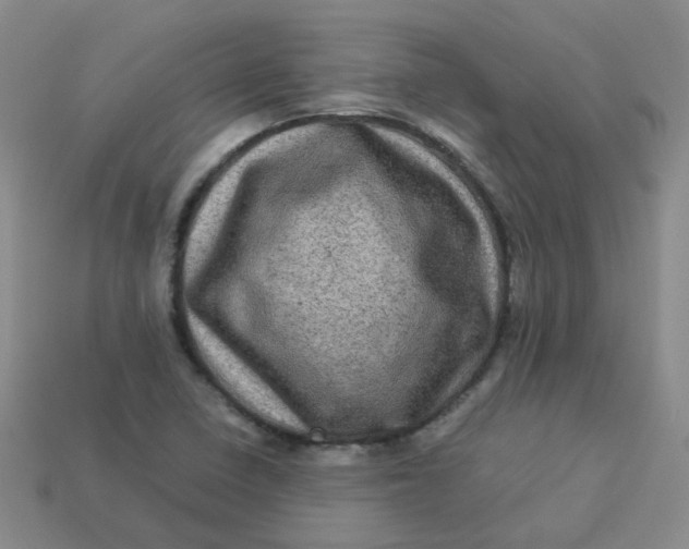 X0000113331410200910051136