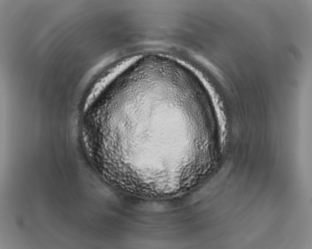 X0000113331411200910051136