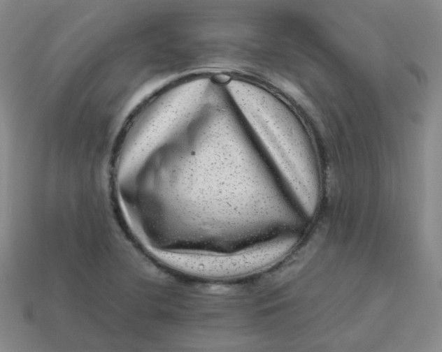 X0000113331412200910051136