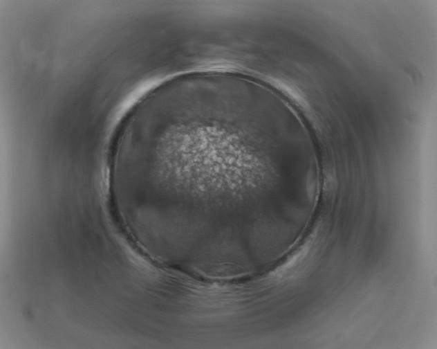 X0000113331414200910051136