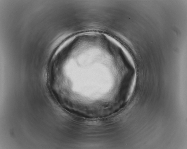 X0000113331415200910051136