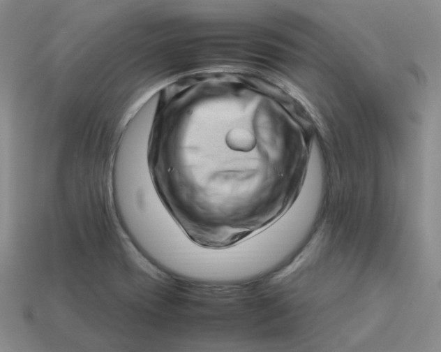 X0000113331417200910051136
