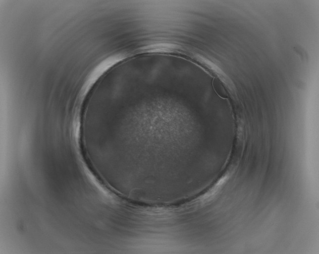 X0000113331418200910051136