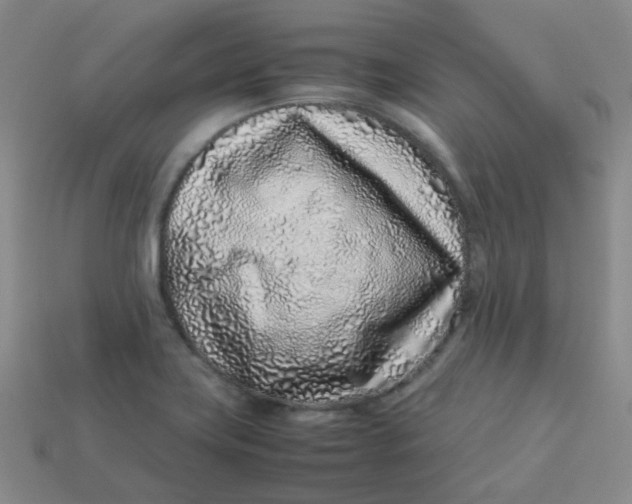 X0000113331419200910051136