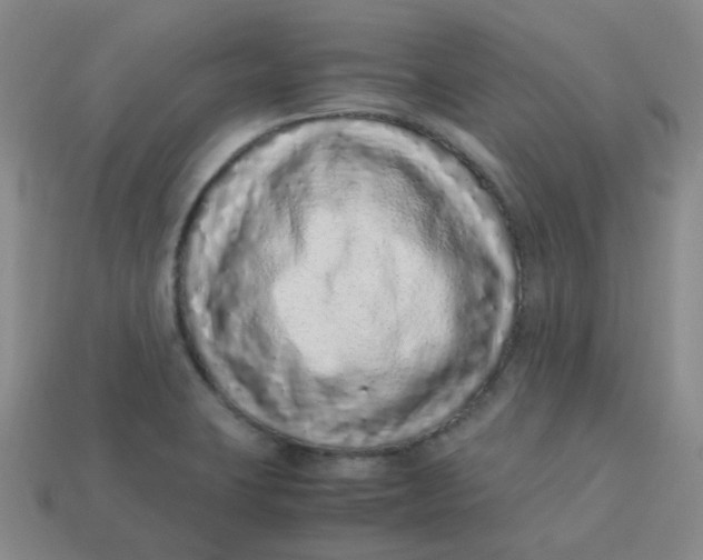X0000113331423200910051137