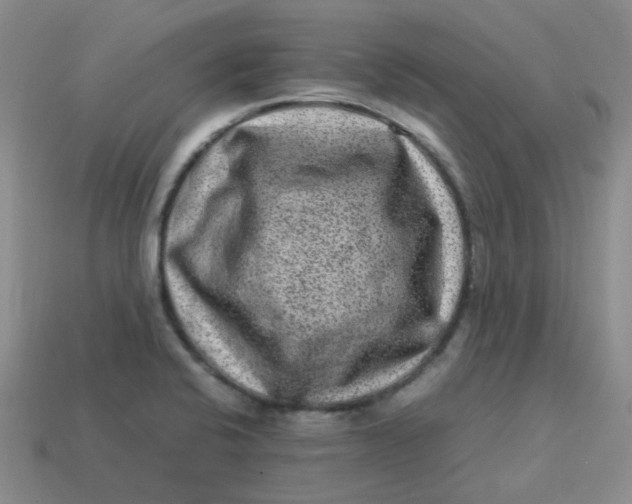 X0000113331424200910051137