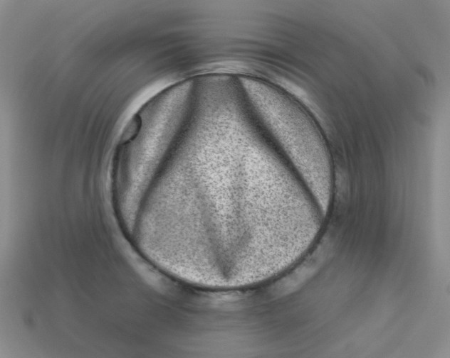 X0000113331426200910051137