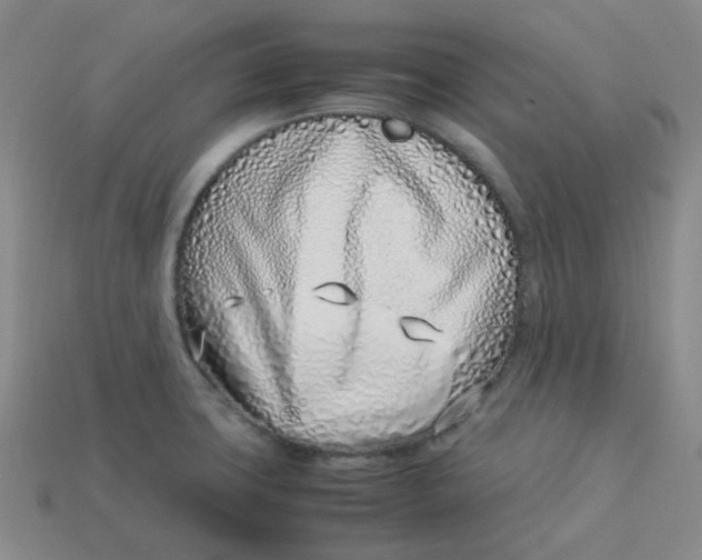 X0000113331427200910051137