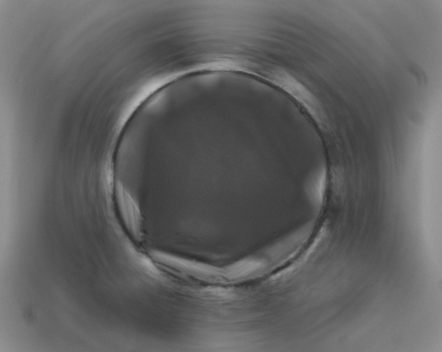X0000113331428200910051137