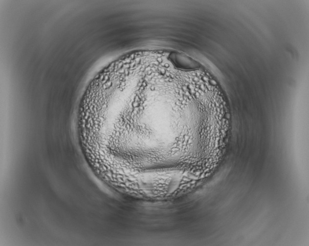 X0000113331429200910051137