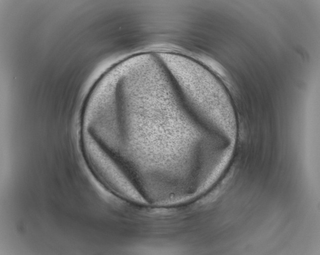 X0000113331430200910051137