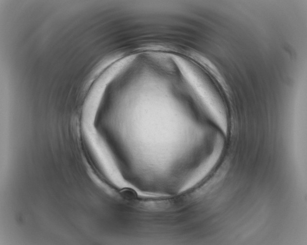 X0000113331433200910051137