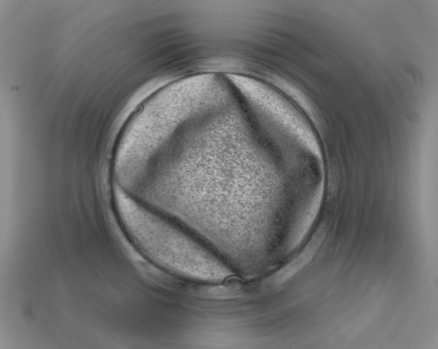 X0000113331434200910051137