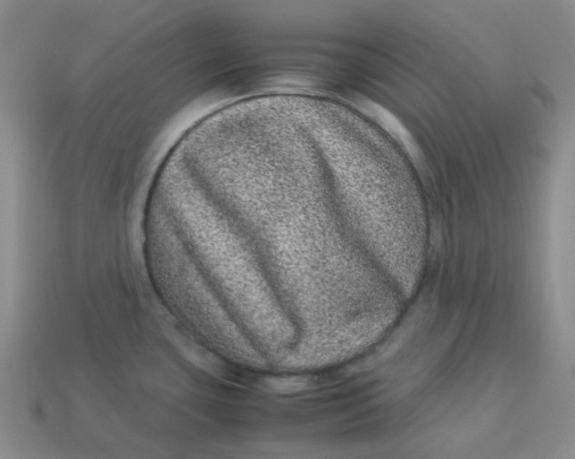 X0000113331435200910051137