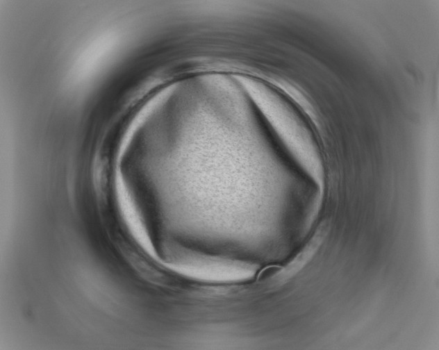 X0000113331438200910051137