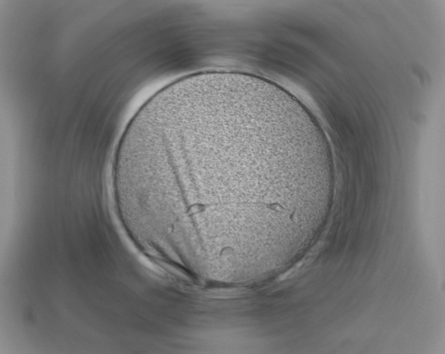 X0000113331440200910051137