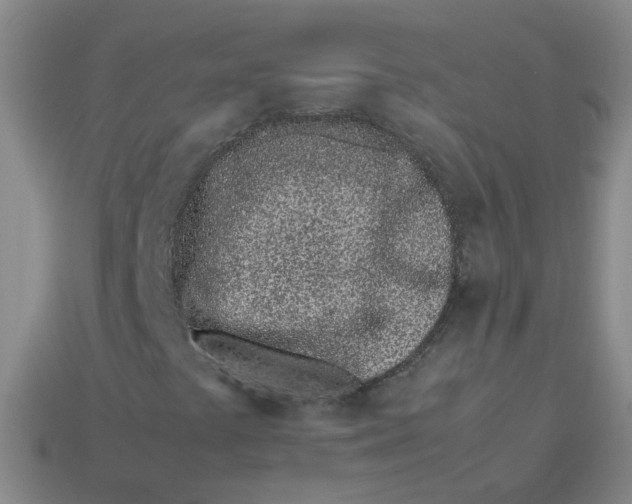 X0000113331441200910051136
