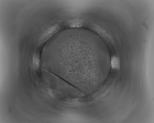 X0000113331444200910051136