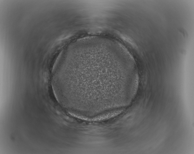 X0000113331445200910051136